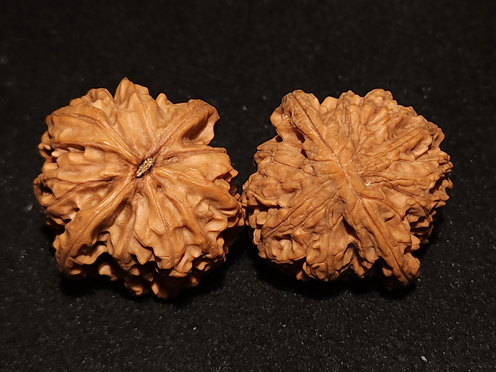 鸡心核桃是"四大名核"之一.因为长得像是鸡的心脏,所以得名的.