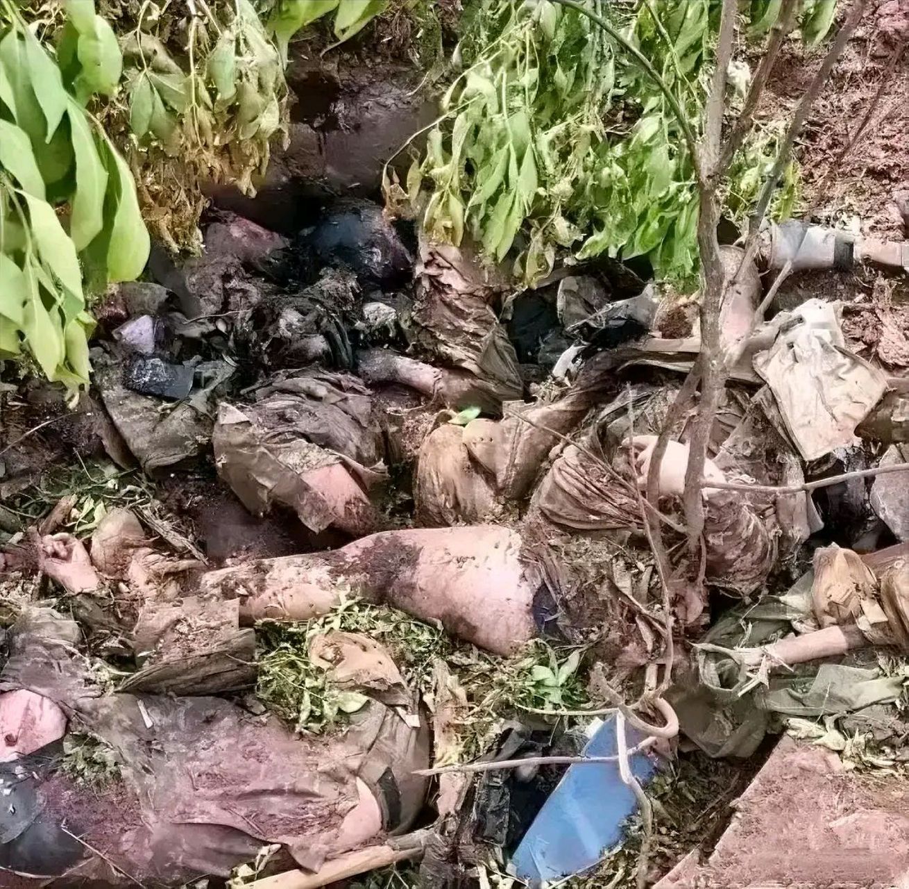 俄乌战争,战场上被炸死的士兵,没人收尸,如草芥般被胡乱的丢弃!