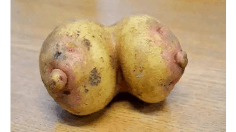 浅看一下那些长得奇奇怪怪的蔬果植物