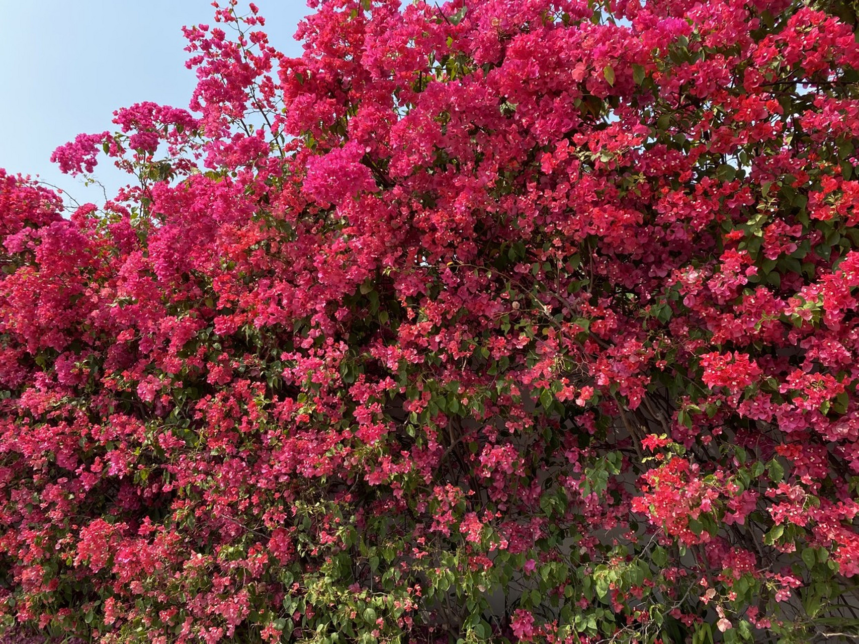 早晨7点起床,晚上11点半睡觉,中午11点吃午饭,下午5点吃晚饭,把自己的