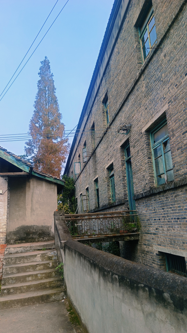 藏不住的双流# 这里是成都双流区籍田镇上的一条被时间遗忘的老街