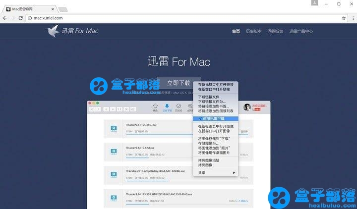 迅雷下载支持 for Mac (旧版)