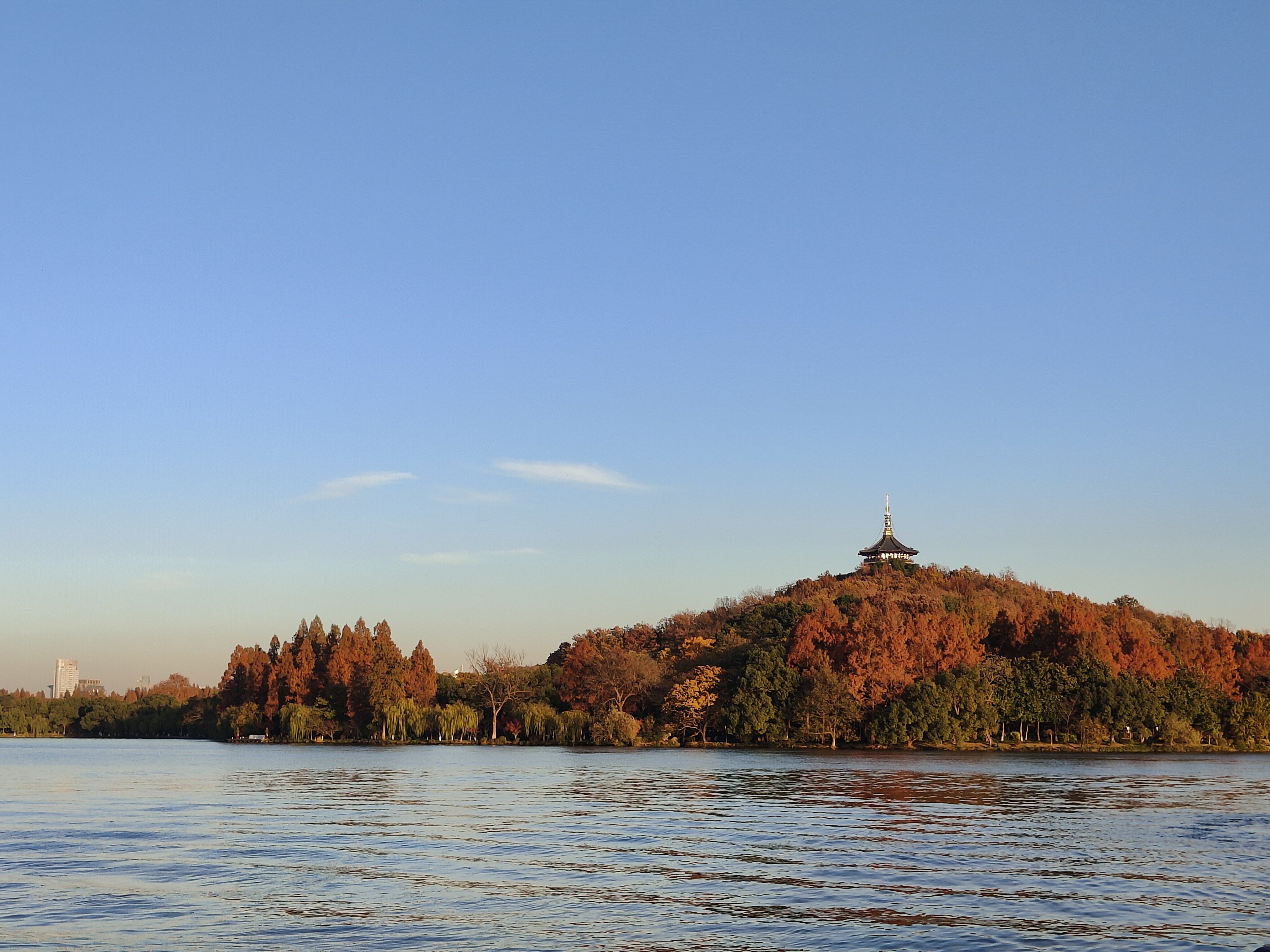 西湖三处秋景随拍-太子湾-花港观鱼-雷峰塔-2023年12月8日