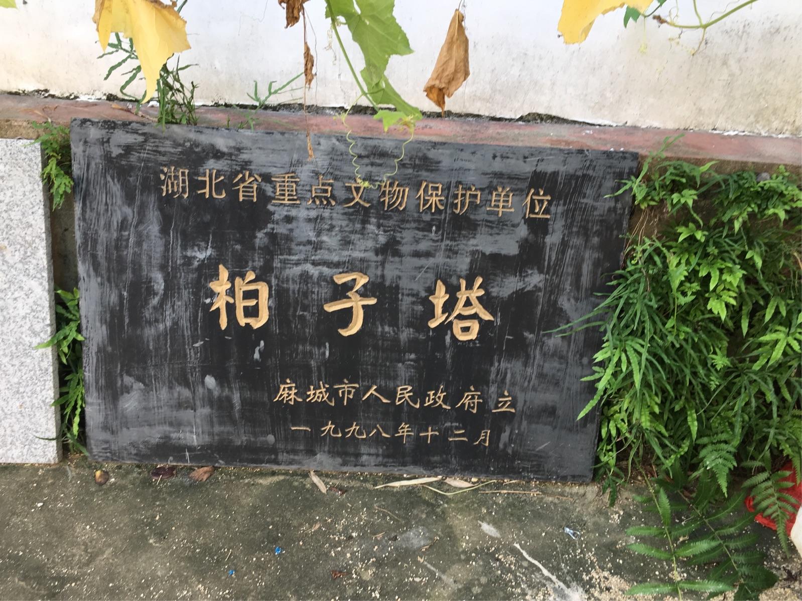 麻城八景小孩图片