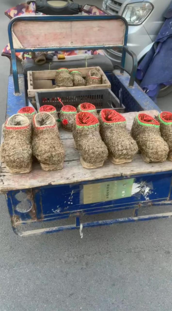 网友说这是曹文轩作品青铜葵花里的芦花鞋吗?