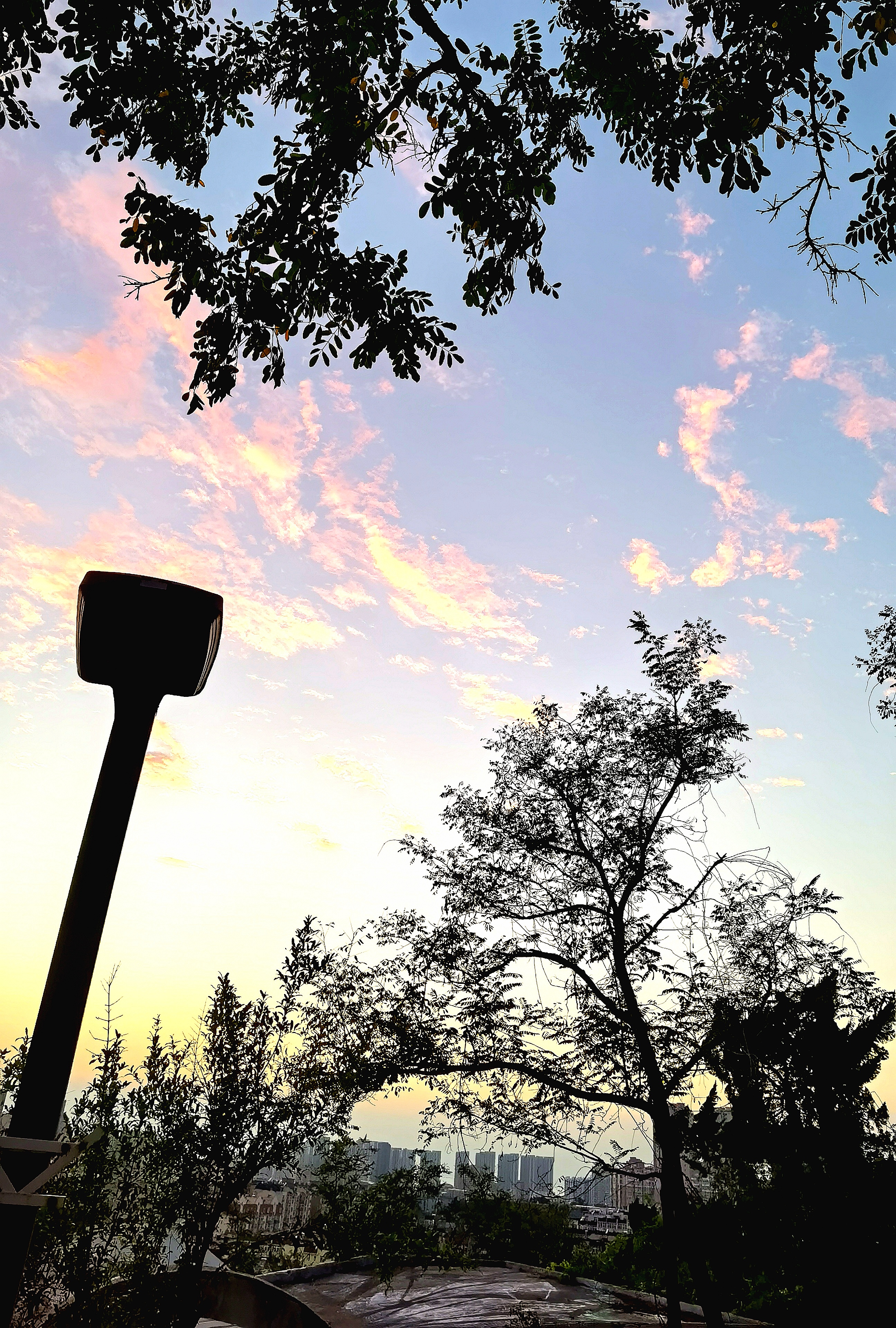 傍晚的云彩,像是燃烧跳跃的火苗,一团团地美丽如画,展开在天空中.