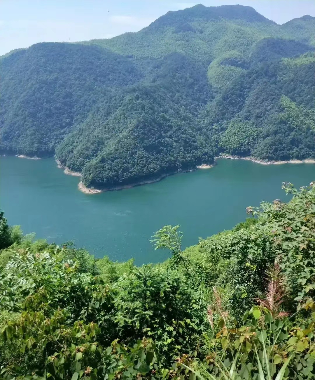 白溪水库位于山脚下,四周环绕着青翠的山峦和郁郁葱葱的森林