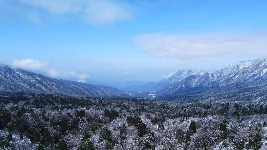 龙苍沟国家森林公园:精灵生活的地方,梦里的雪色世界!