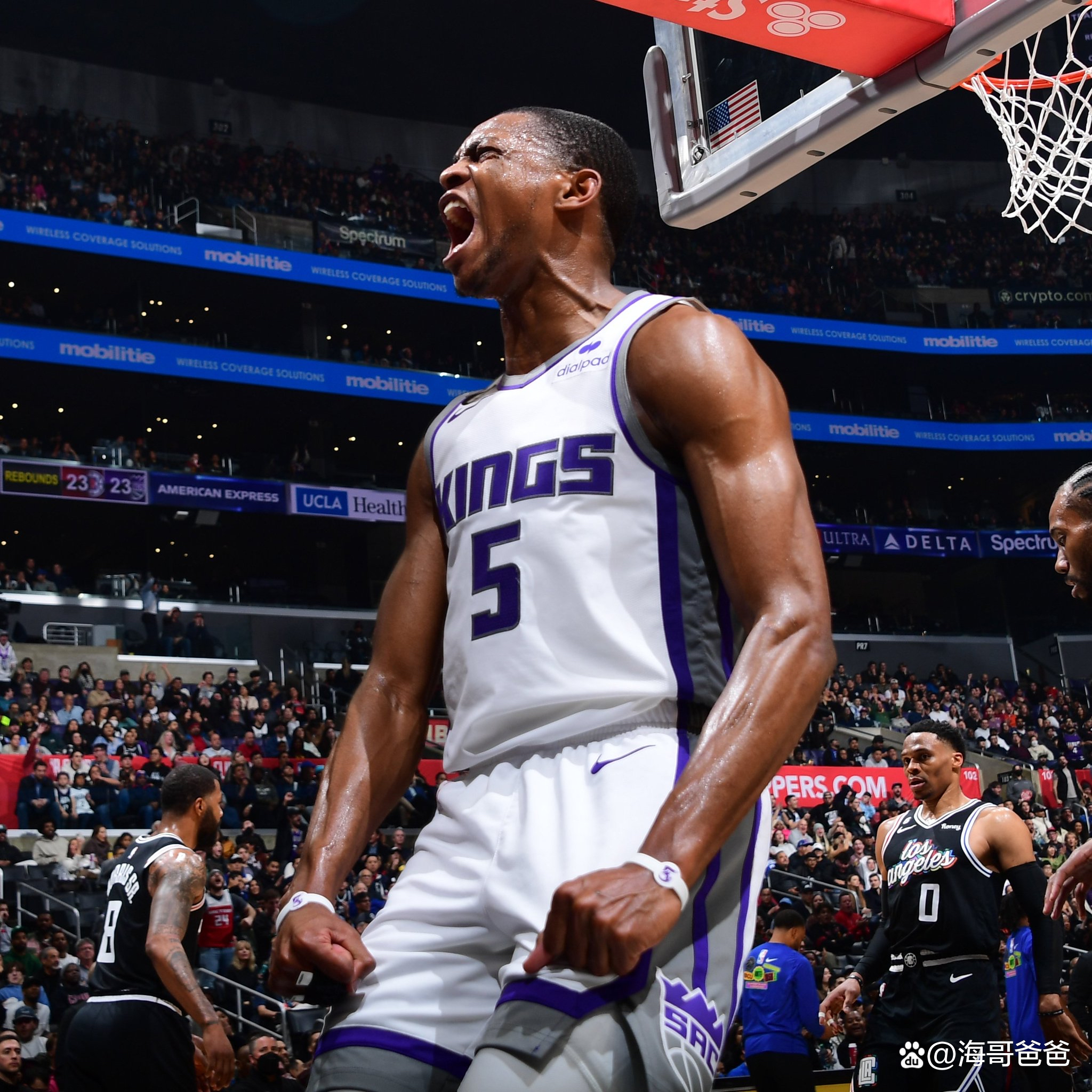 数据说|球队轮换雏形开始显现,NBA训练营话题全面铺开,关注度走高,球迷讨论提前升温 数据说|球队轮换雏形开始显现,NBA训练营话题全面铺开,关注度走高,球迷讨论提前升温