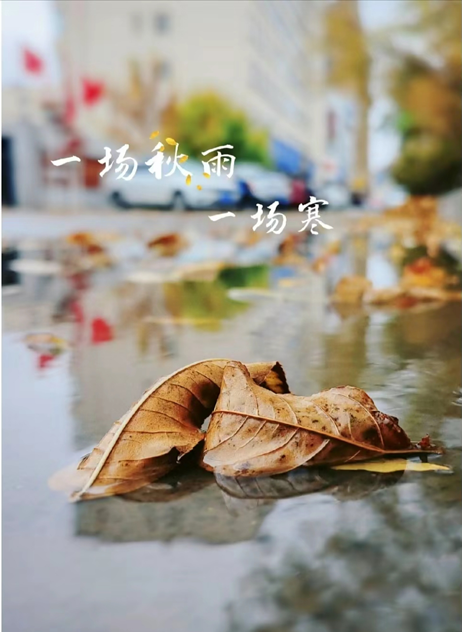 一场秋雨一场寒 天气渐凉95早晚记得添衣98 秋意渐浓93注意保暖