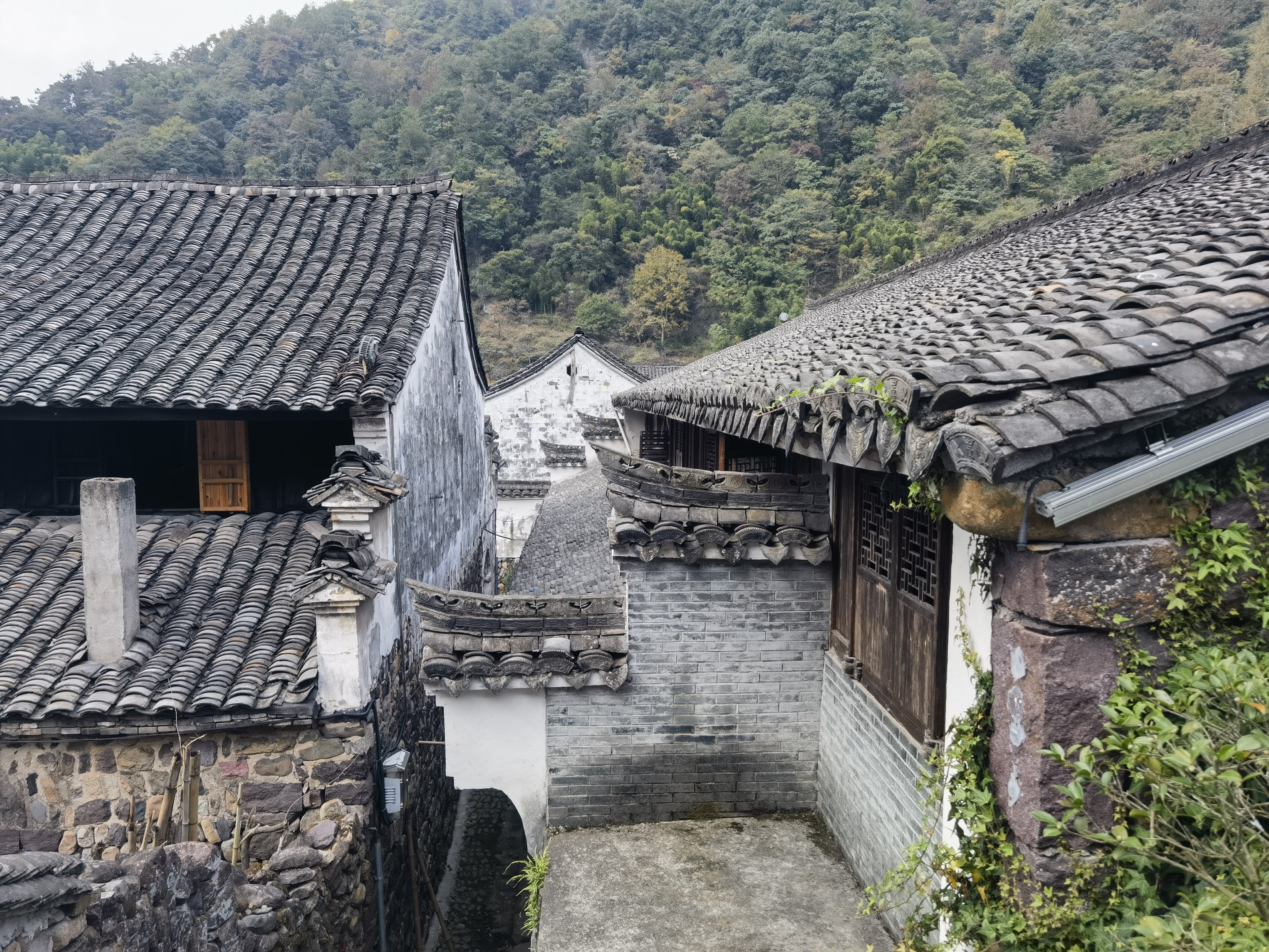 探访历史悠久的李家坑村:古韵与现代元素的完美融合