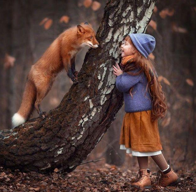 罗织经:真正厉害的人,都悟透这3种人性,人到50岁,还来得及