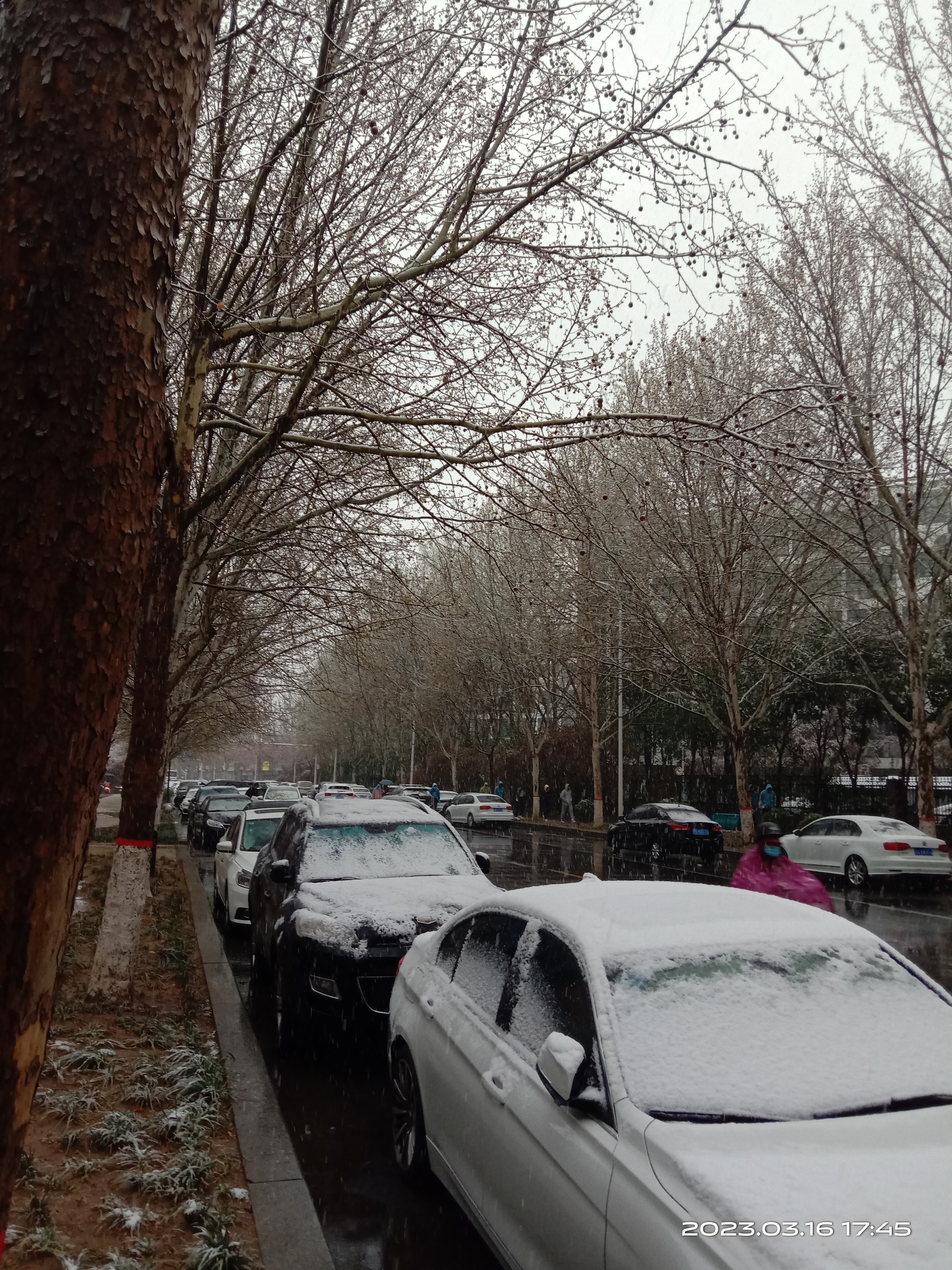 现在六点了,正是下班的高峰期,下雪天考验着郑州的交通,尤其是现在还