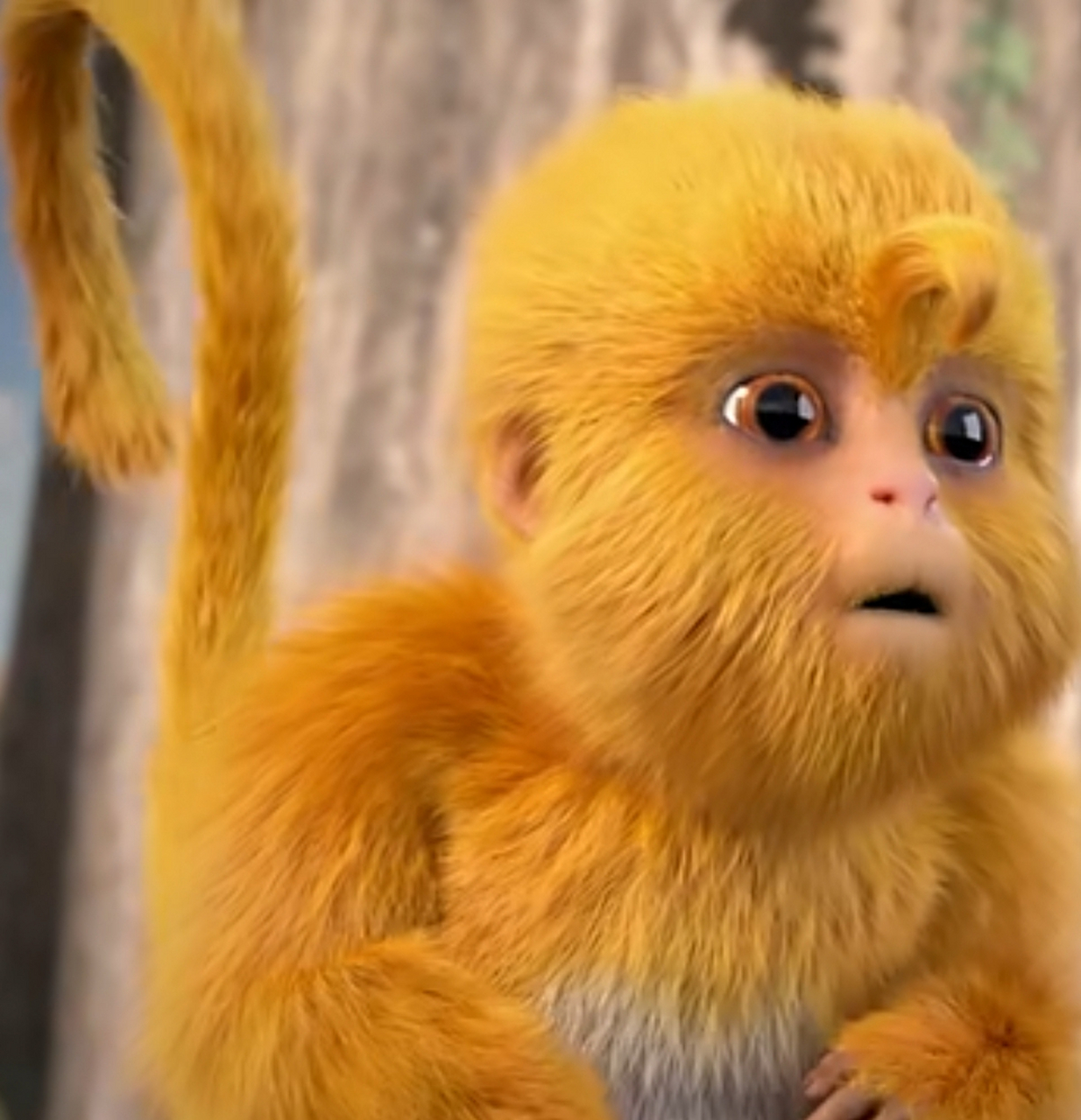 完美世界:毛球也太厉害了吧!