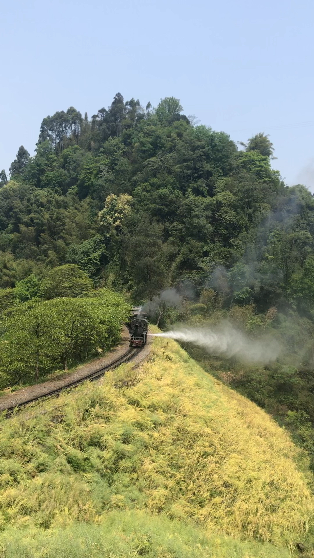 霸气十足的四川嘉阳小火车汽笛长鸣镇山谷