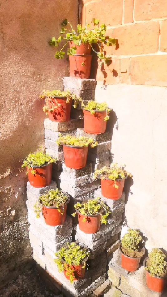 闲来无事,用闲置的砖在闲置的角落堆个有用的花台