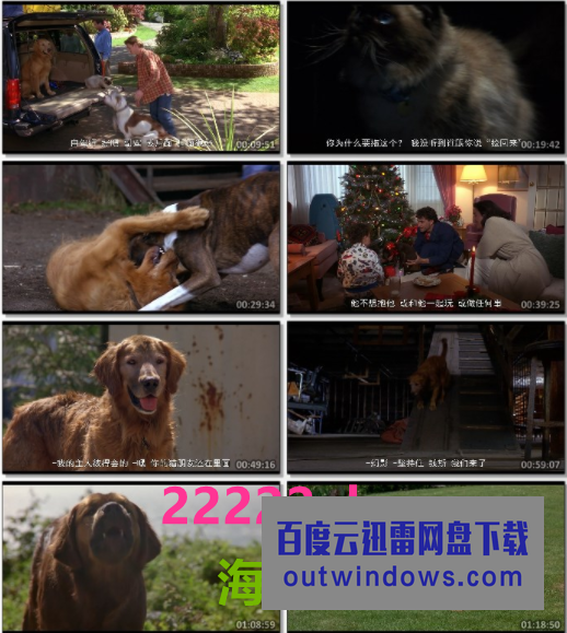 经典高分剧情《看狗在说话之旧金山历险记》1080p.BD中字1080p|4k高清