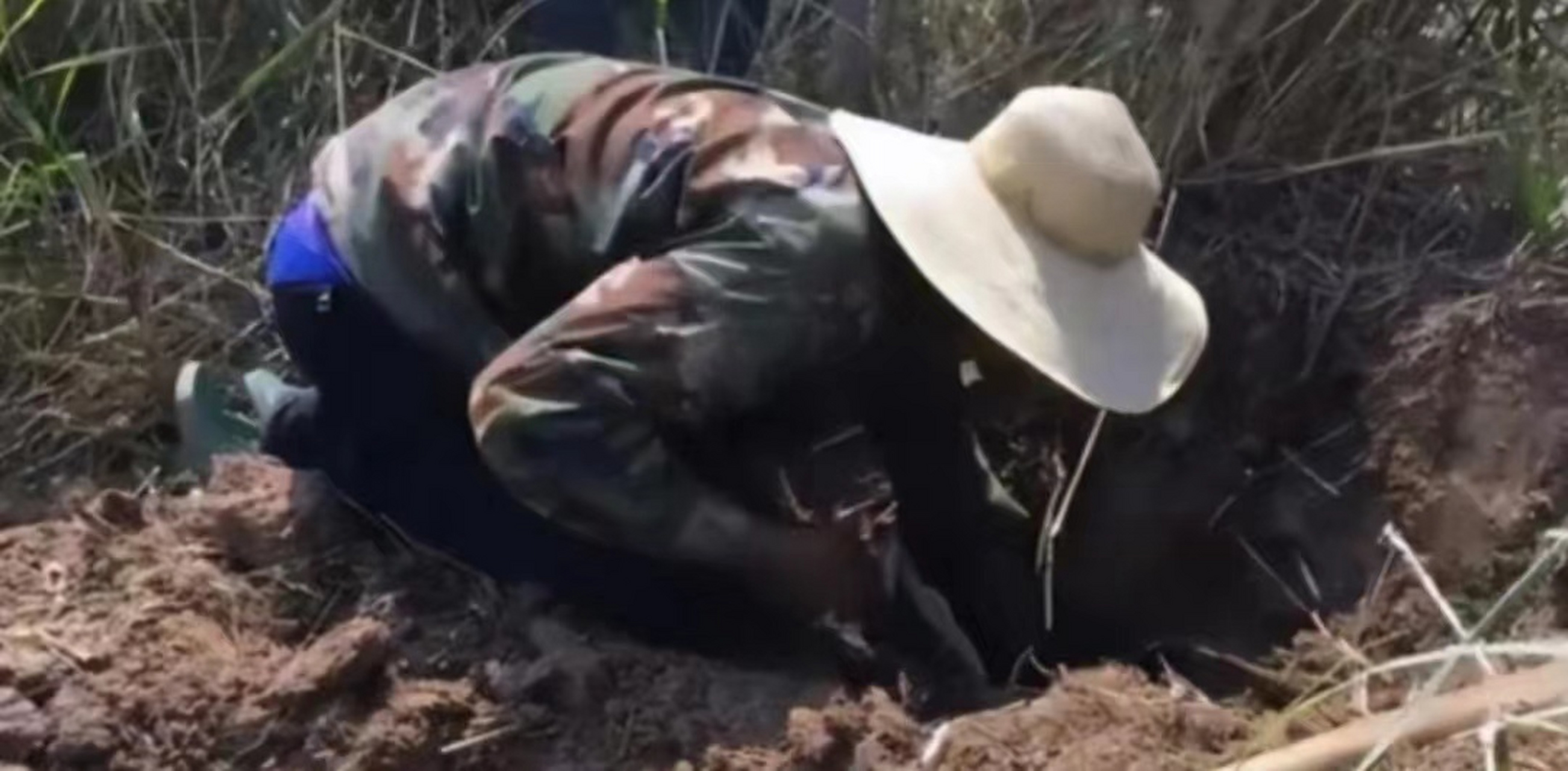 1991年,湖北农民程地明在犁地耕田时,被很多毒蛇袭击,它们硬生生的咬