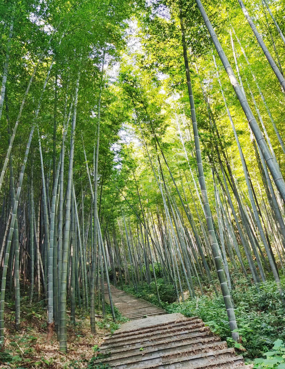 湖南乌山图片