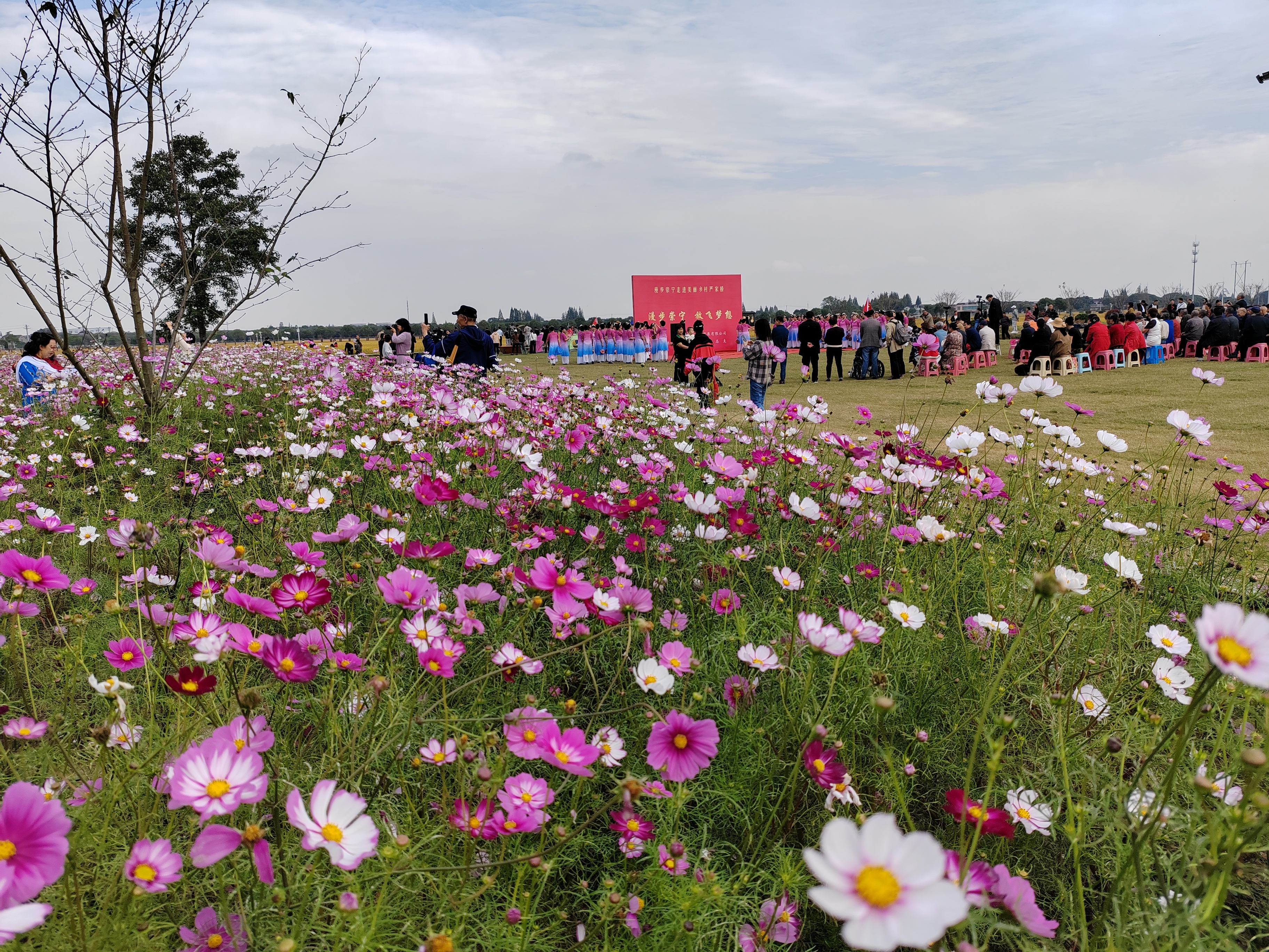 看到这样一句话"年轻的时候,连多愁善感都要渲染的惊天动地
