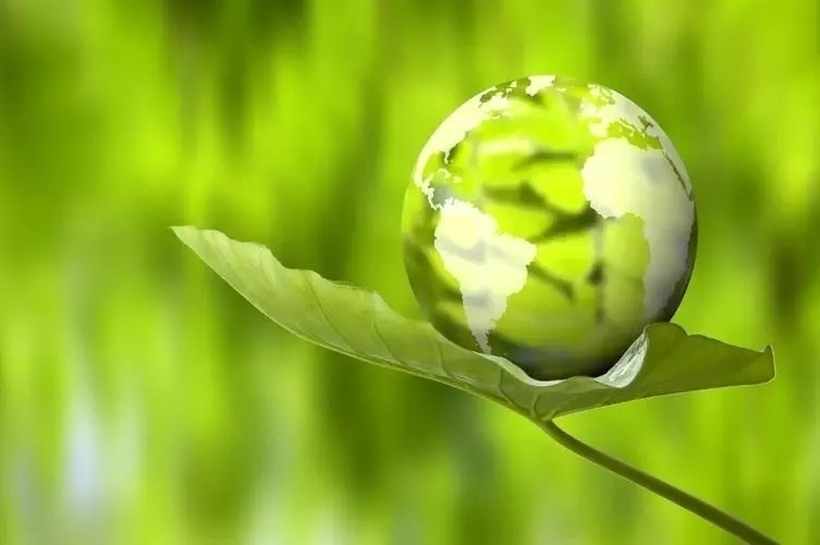 宇宙中是否有植物文明?光合作用的妙用,星际航行不是梦