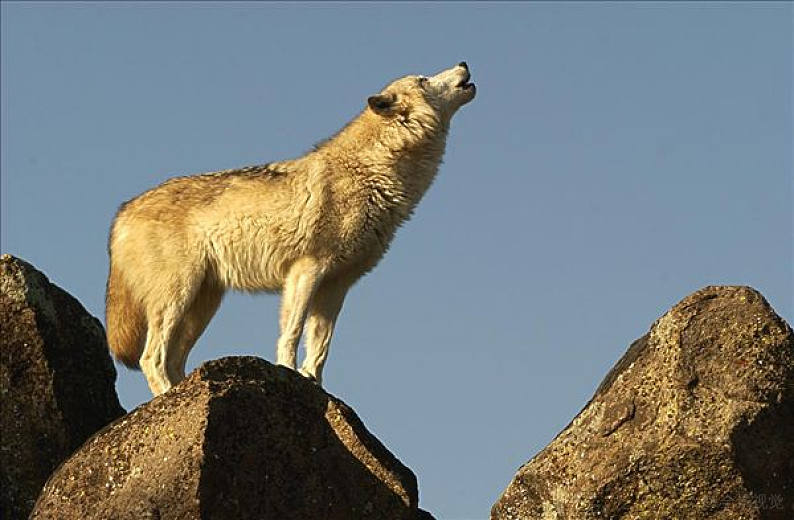 坚强才是最美的浪漫  大自然中的一切都是如此美妙