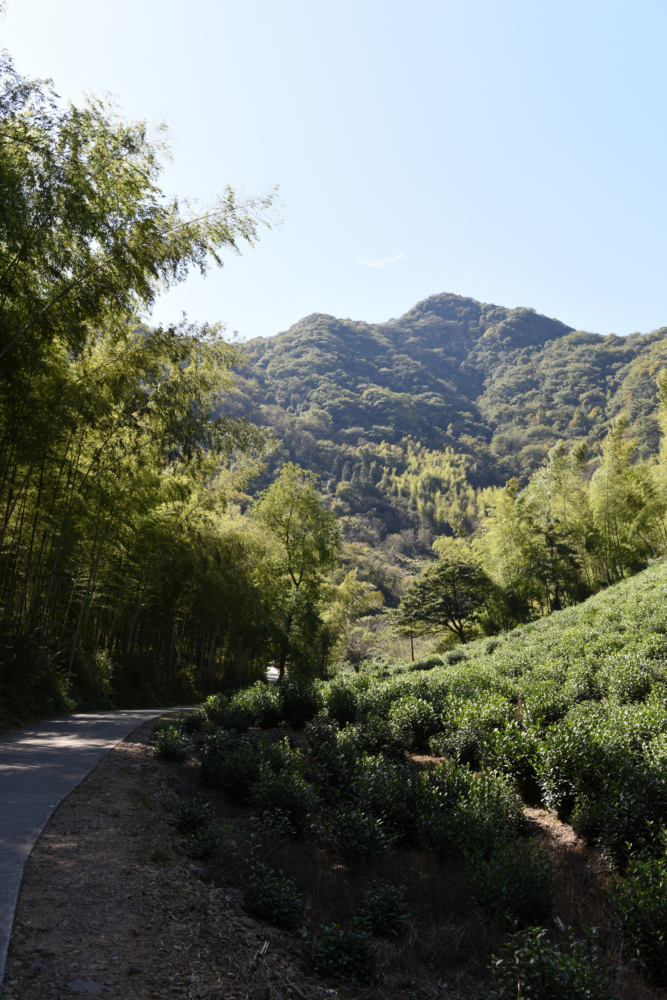 安徽省宣城市泾县水墨汀溪风景区