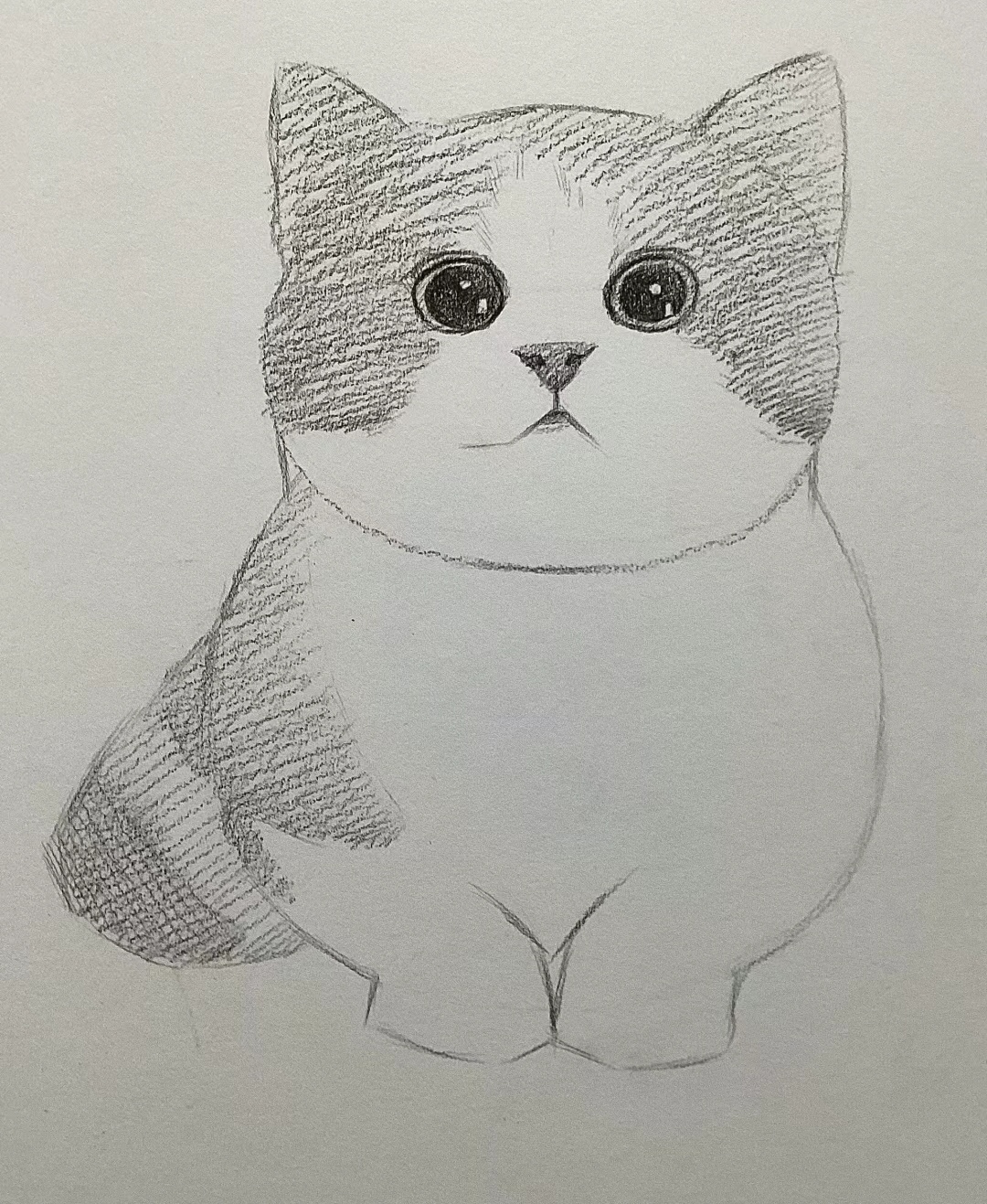 素描小猫的详细步骤画法