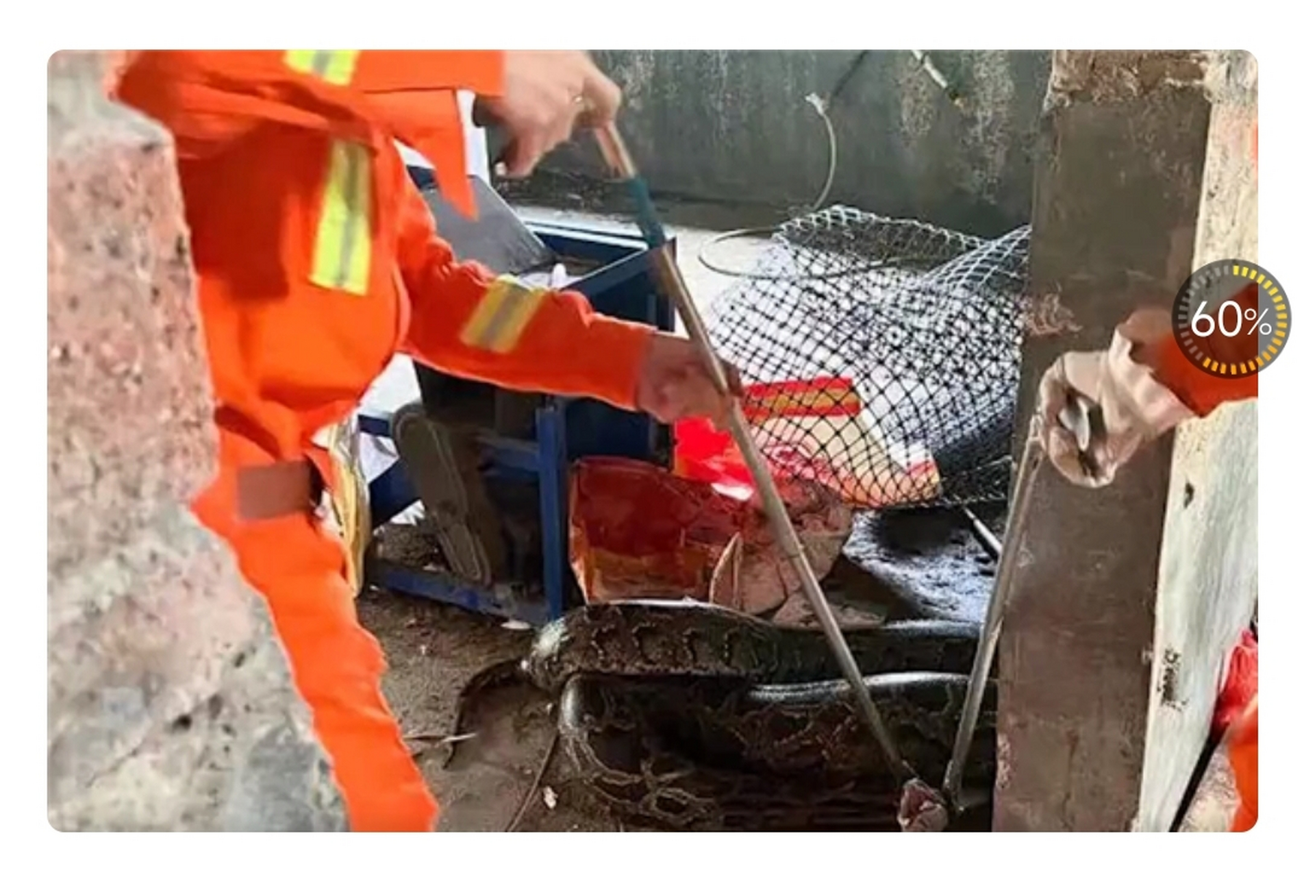 2023年7月29日,据河源电视台报道,广东河源龙川县黄布镇派出所近日接