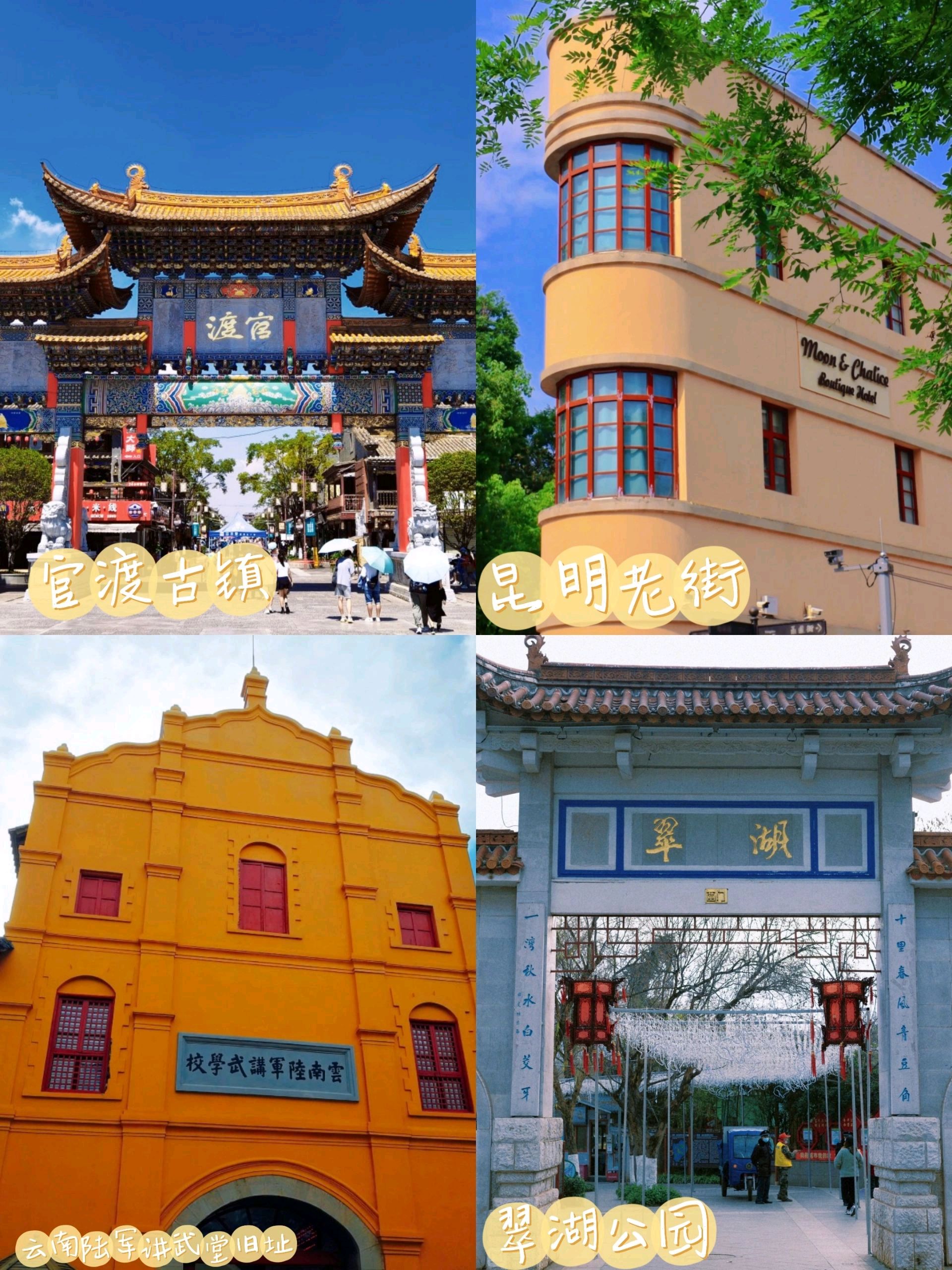 《昆明,花城之旅》