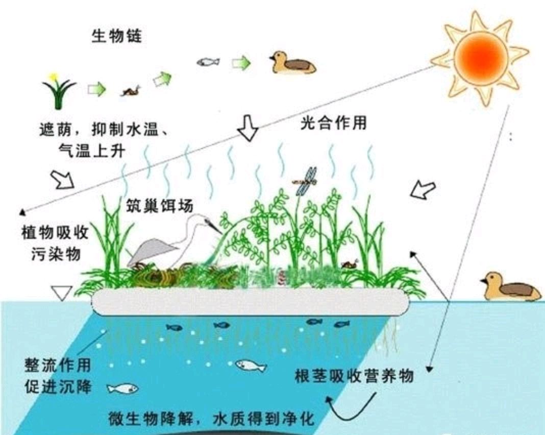 新野軍民渠裡建起了