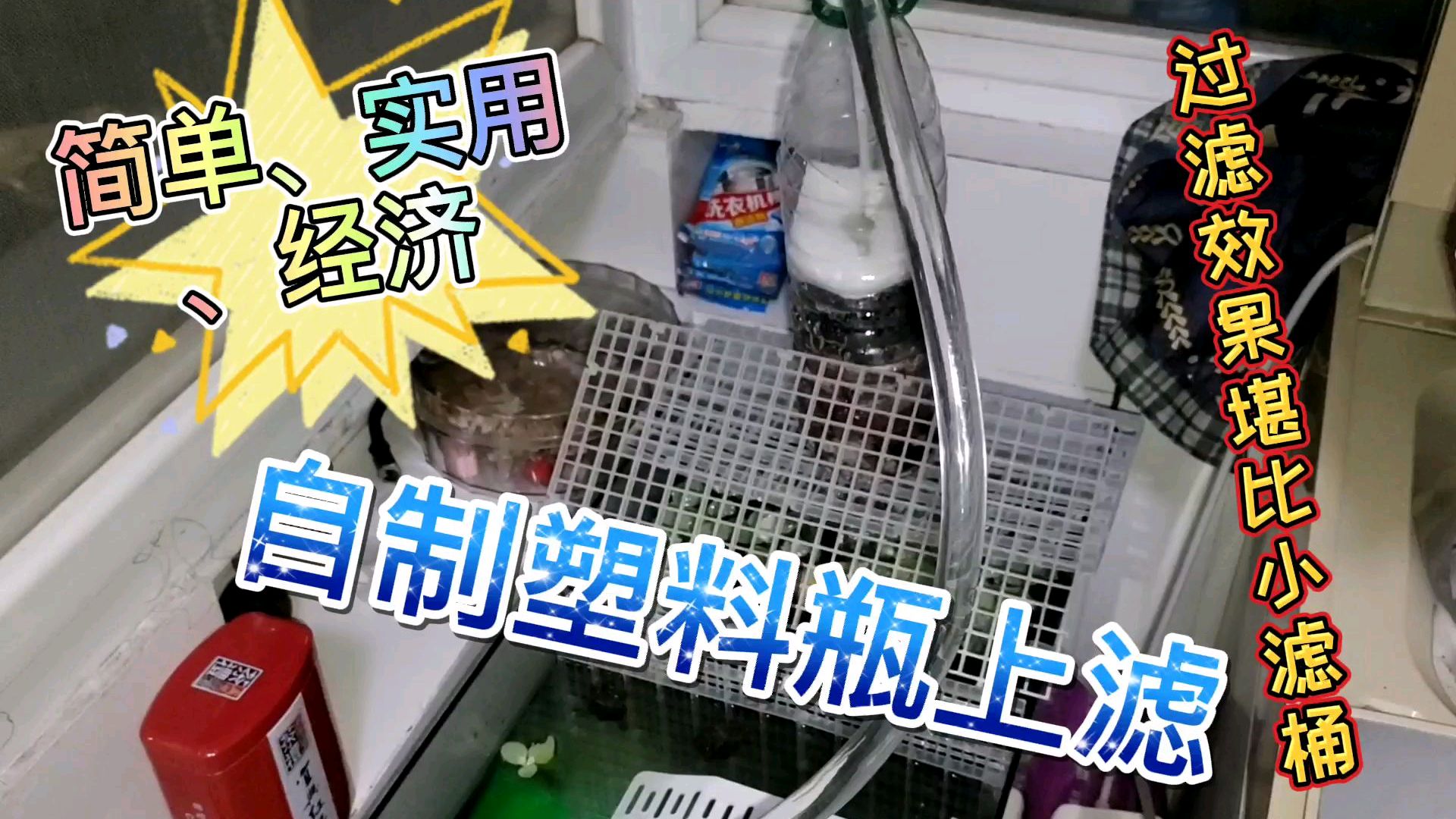 鱼缸过滤太贵?过滤效果太差?一个塑料瓶就能搞定,简单经济实用