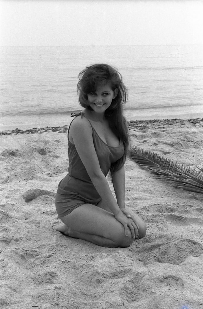 克劳迪娅·卡汀娜(claudia cardinale),昵称"cc",1938年4月出生于北非