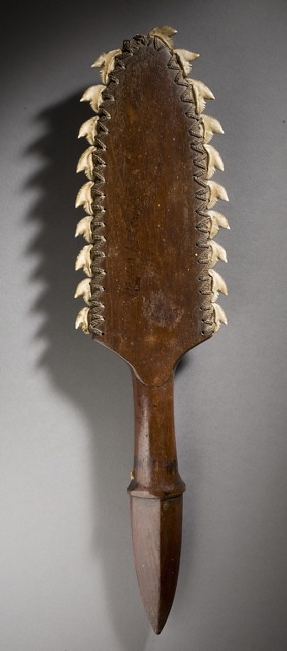 正所谓坐山吃山坐水靠水,没有铁矿那就只能使用鲨鱼牙齿制造武器!