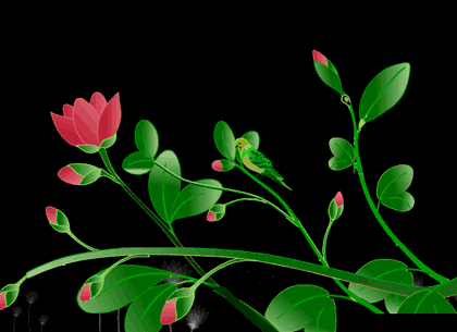 只此一眼心动一生像蝴蝶眷恋花儿,像闲云依恋蓝天,你就是我一生的爱恋