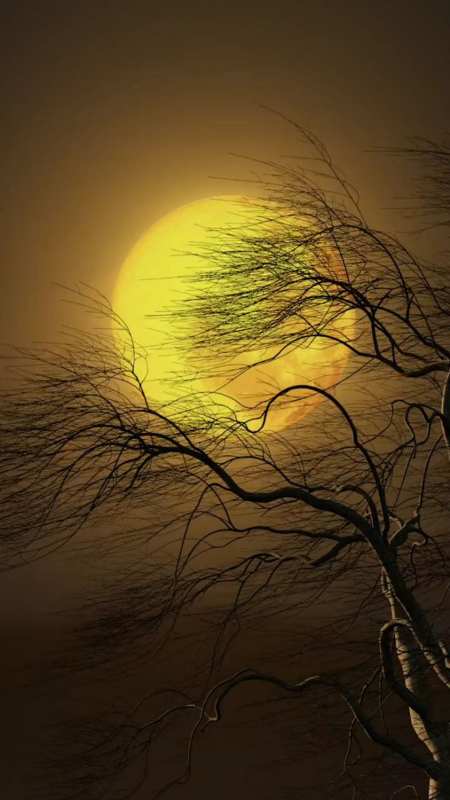 一轮红月挂碧空,树影婆娑雾蒙蒙,晚风作酒离人泪,半生已过半生愁.