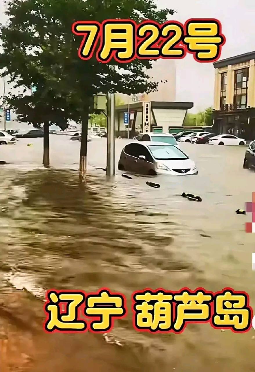 昨天我的家乡辽宁持续大雨,部分地区是暴雨,像葫芦岛今天就是暴雨.