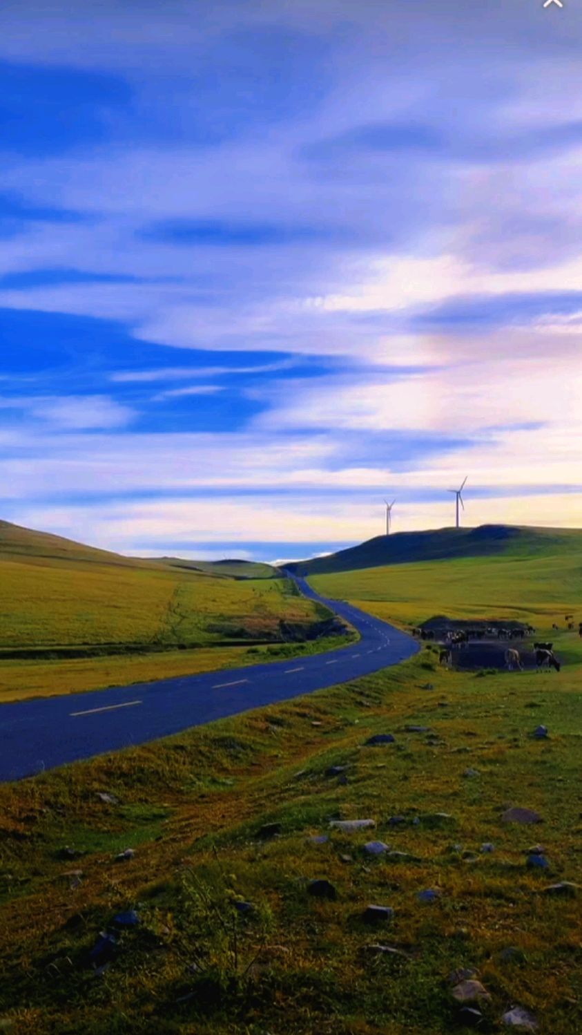 呼伦贝尔,天然大氧吧,植物大宝库,景色大不同,最美大自然!