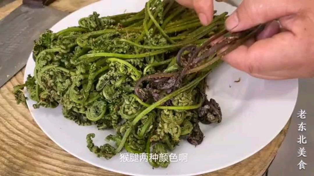 被誉为“山珍之王”的猴腿菜，配上肉丝炒，营养美味，好吃加倍