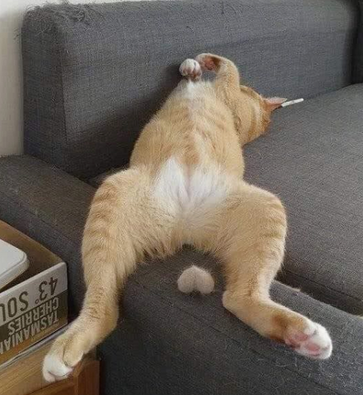 有杀人诛心那味#趣图搞笑