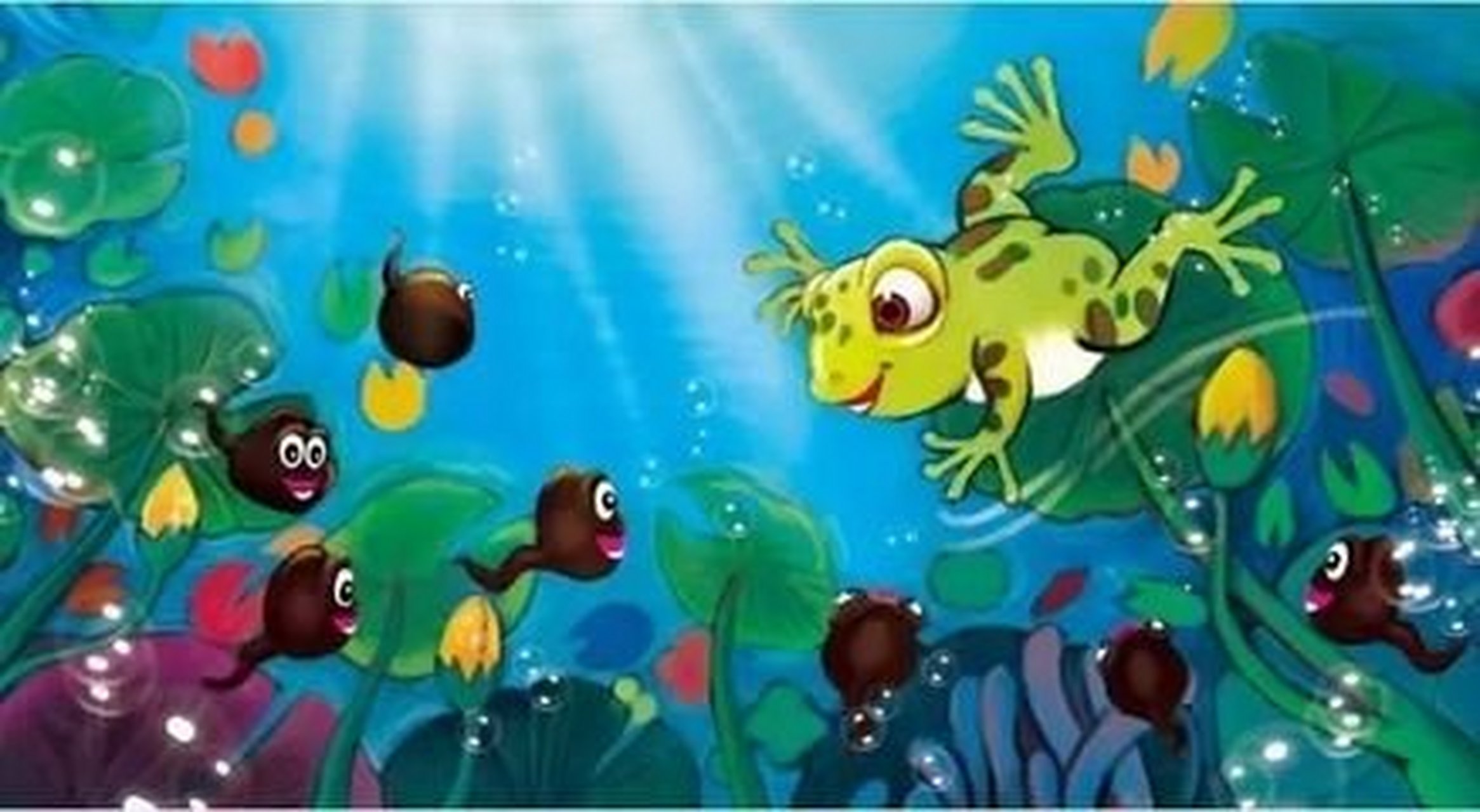 少儿绘本故事-小蝌蚪找妈妈,福州市花兰1套小演员台词演讲.