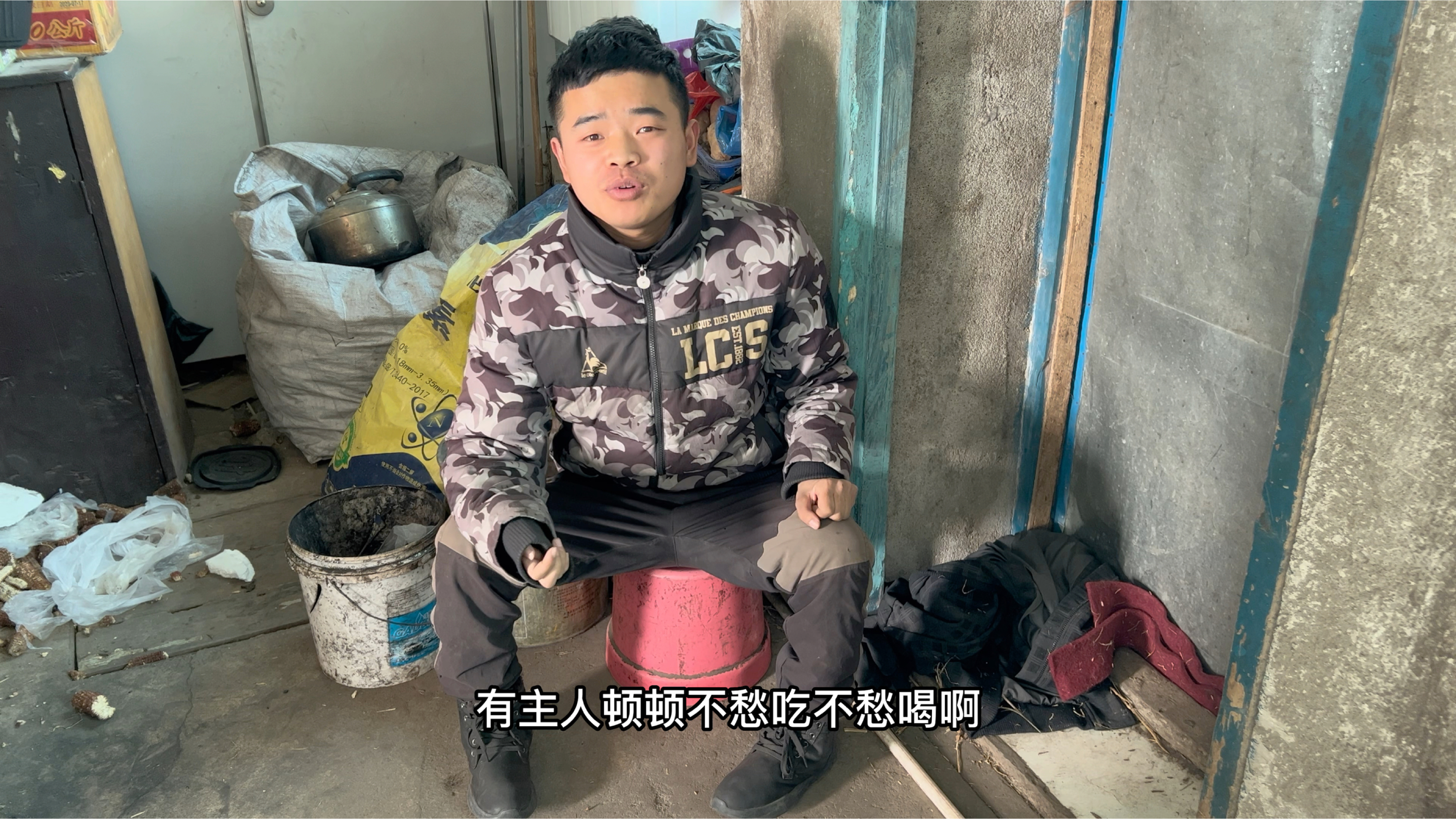 大姨给抱来一只小狗,被黑粉说到你家真倒霉,小强一句话以德服人