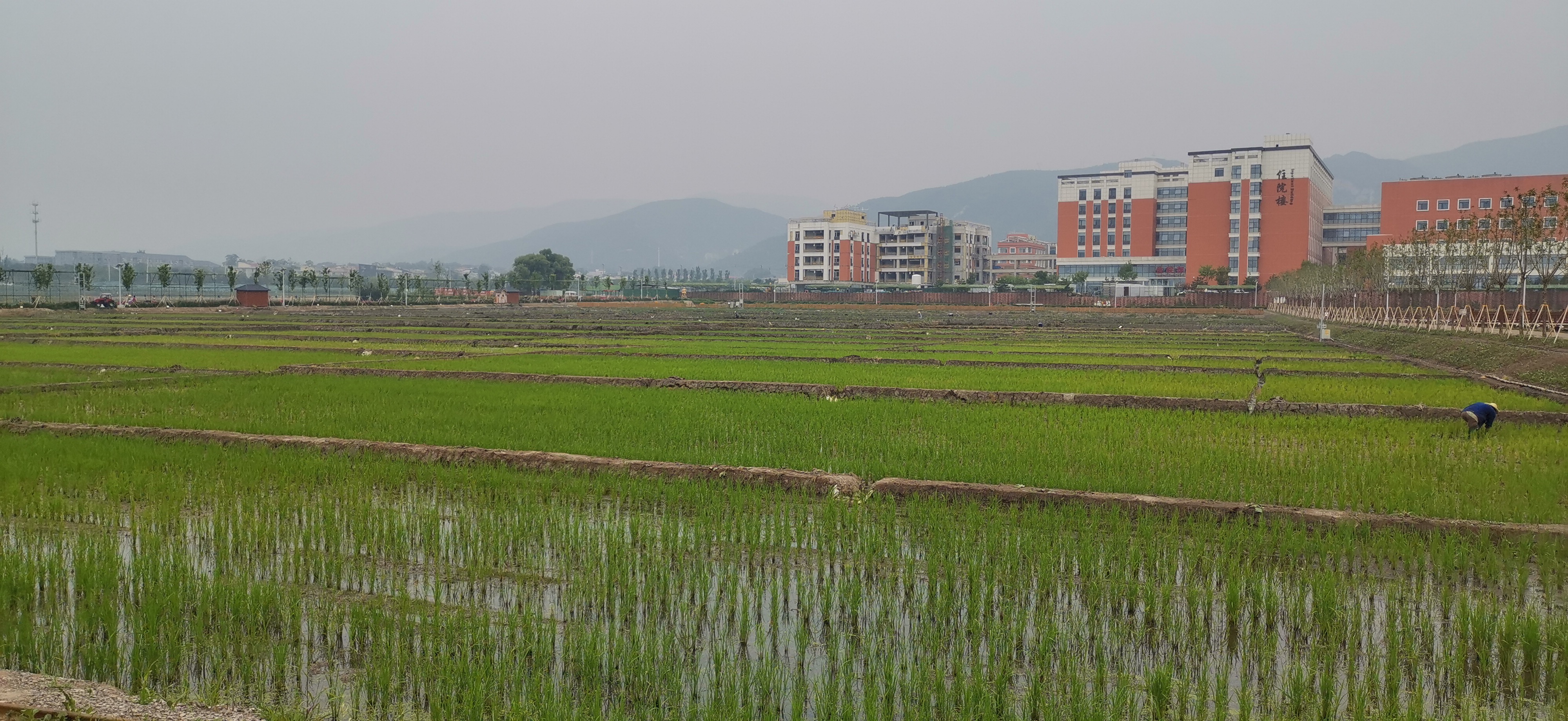 太原晋祠,稻田公园旅游观光