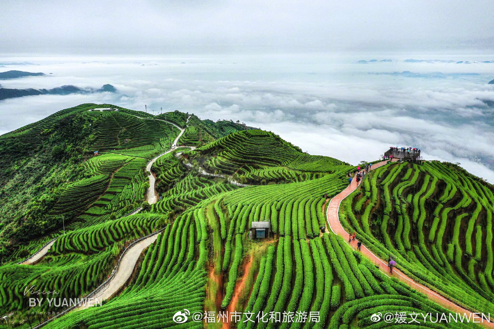 賞雲上茶山,茶八德巨石刻,以茶德行天下