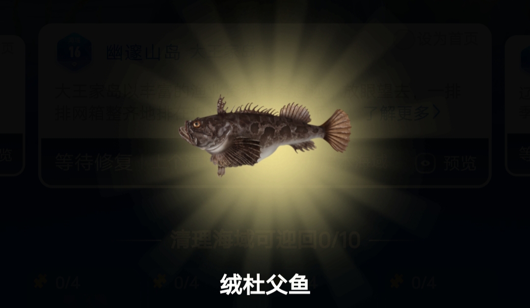 绒杜父鱼,是黄渤海海域常见的食用鱼类之一