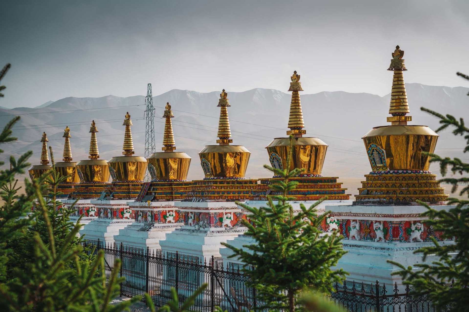 祁连草原上的静谧圣地,古朴迷人的阿柔大寺#旅行# #旅游