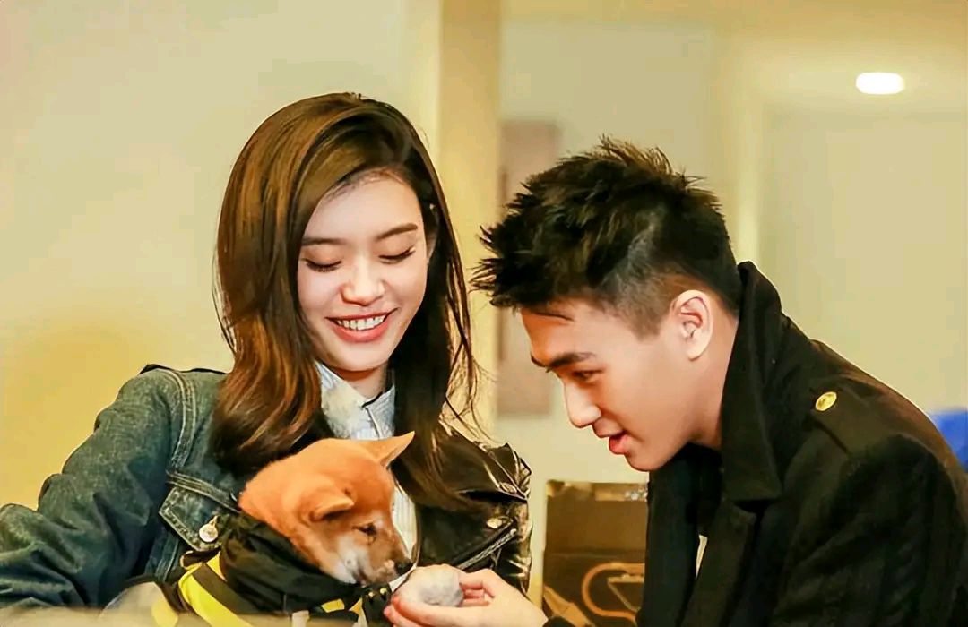 何猷君这个"小金土豆"