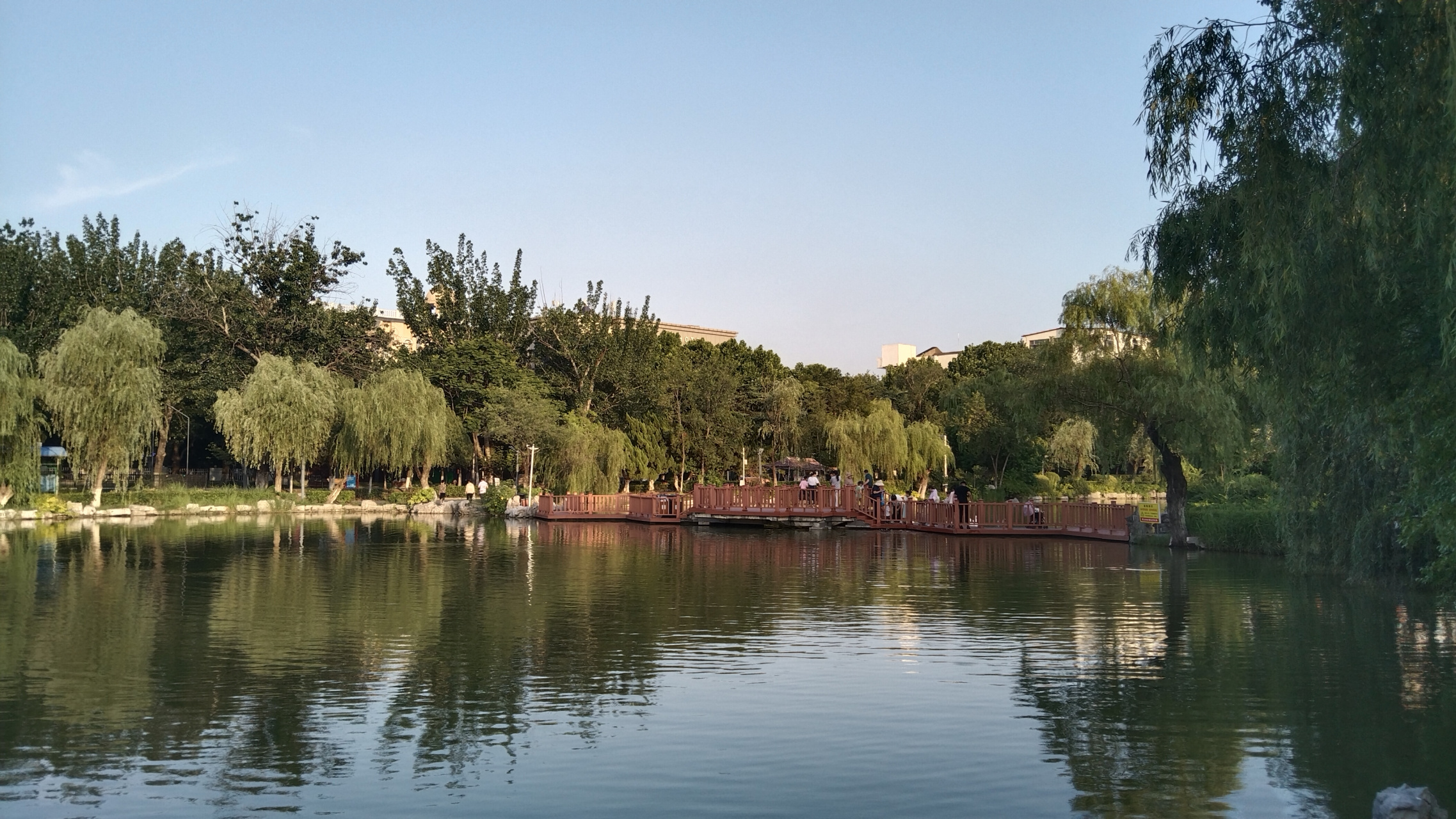 傍晚到连云港新浦公园走了走,小湖垂柳,小桥古亭,小路环绕,公园虽小