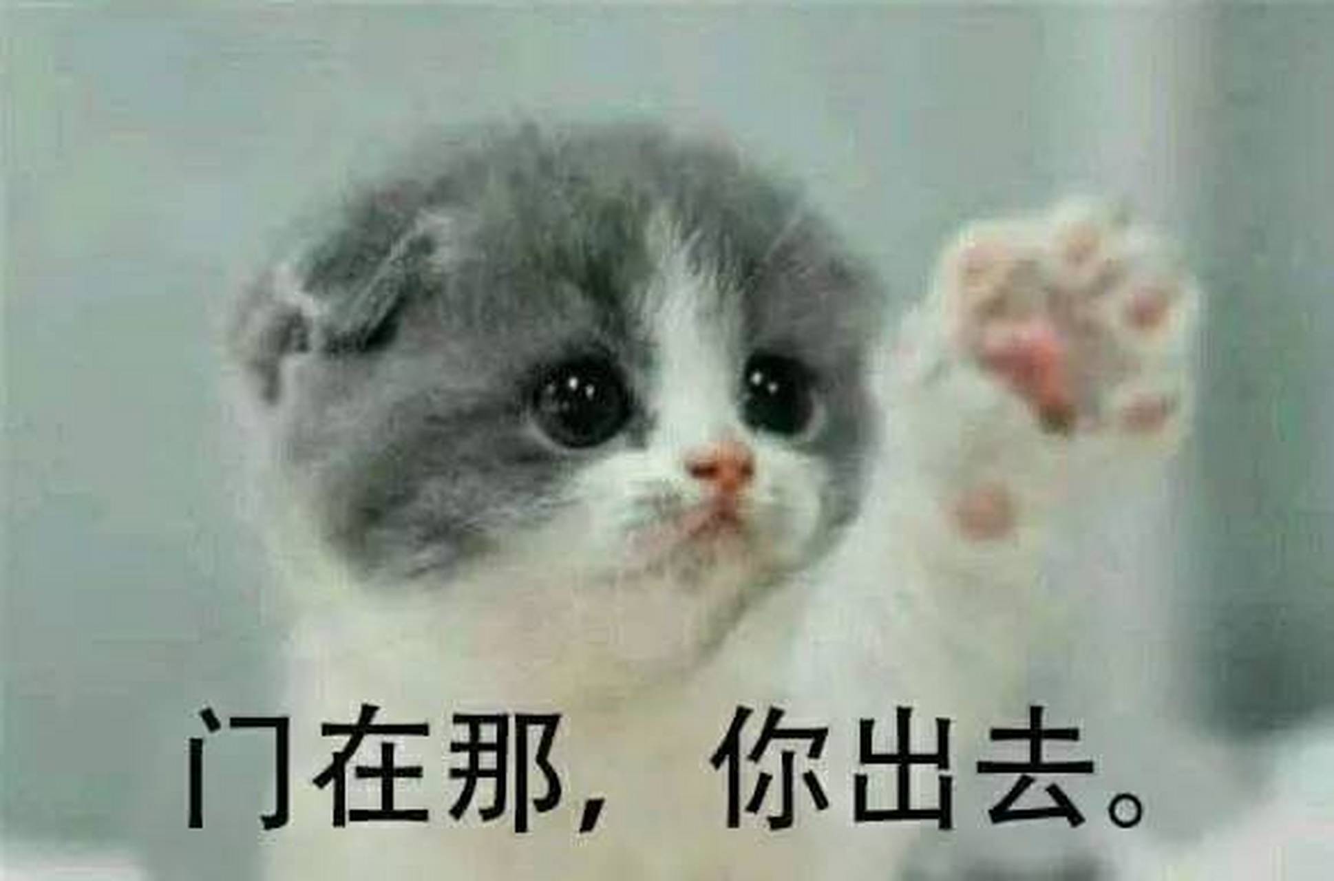 放我出去,我要去拯救奶茶,奶茶不能没有我! 图片来自网络