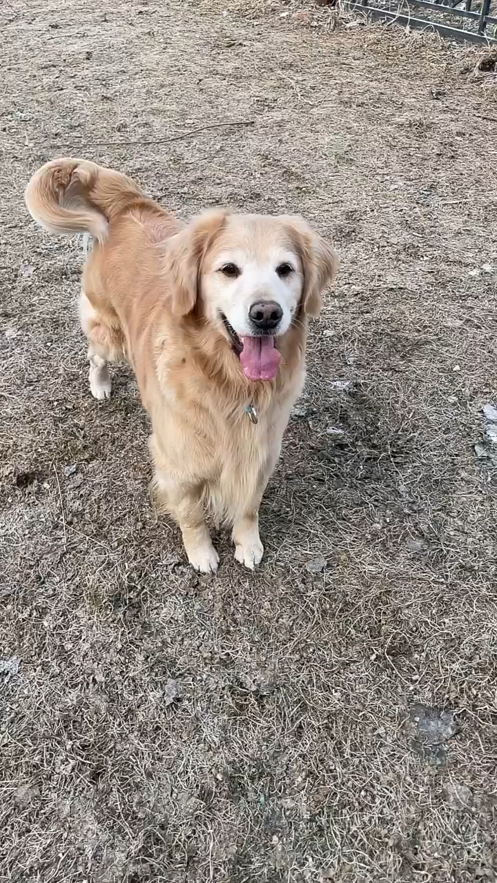 米拉妈妈忽悠米拉米拉的反应太可爱了真逗